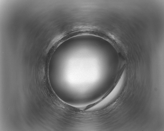 X0000060581261200511171648