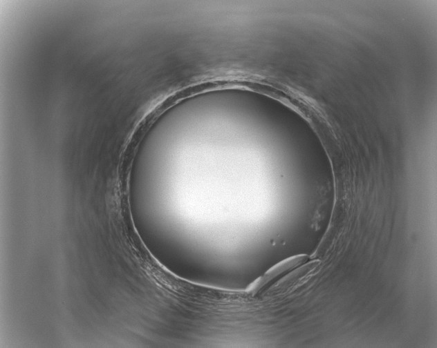 X0000060581264200511171648