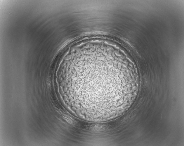 X0000060581266200511171648