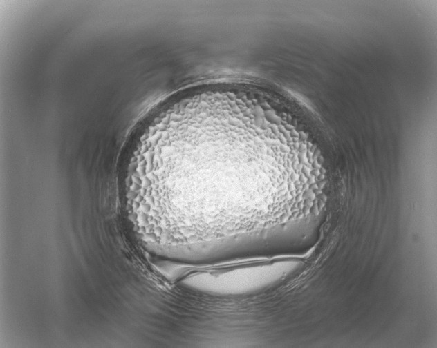 X0000060581267200511171648