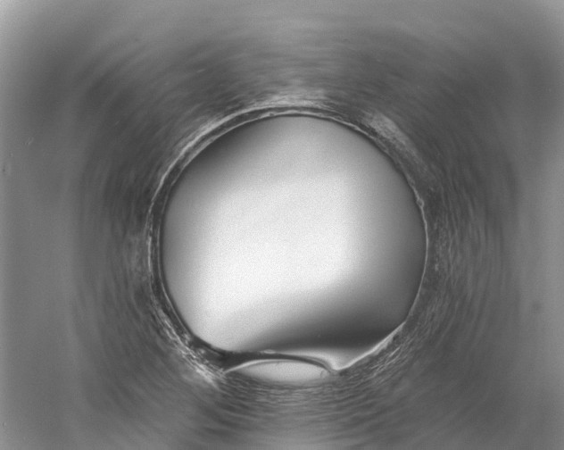 X0000060581268200511171648