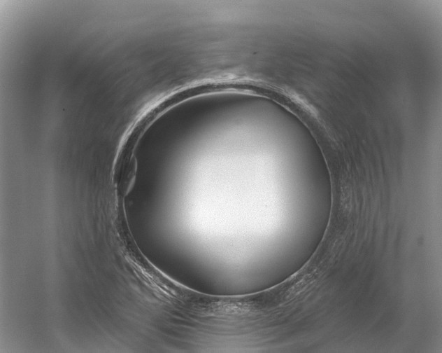 X0000060581270200511171648