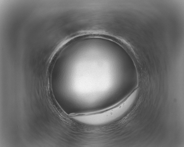 X0000060581271200511171648