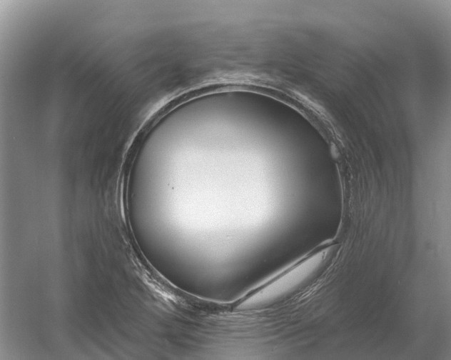 X0000060581272200511171648