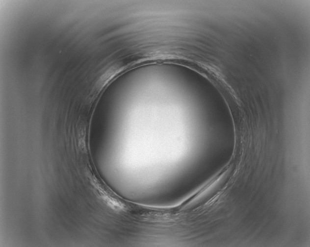 X0000060581273200511171648