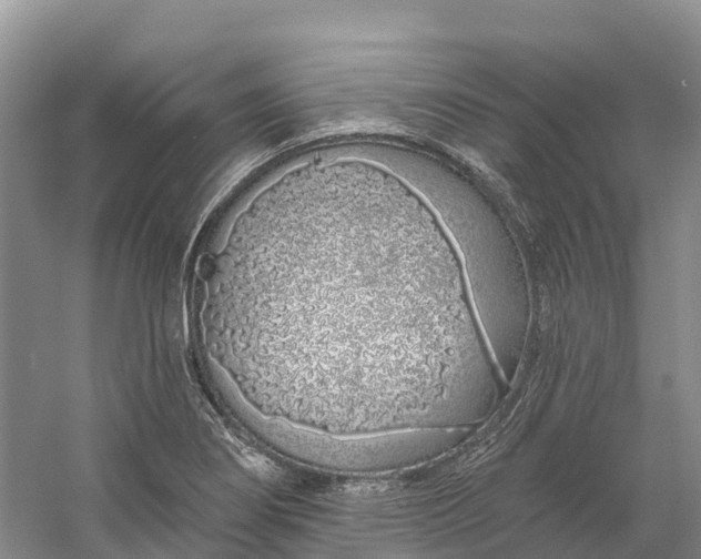 X0000060581274200511171648