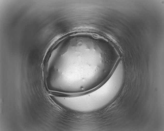 X0000060581275200511171648