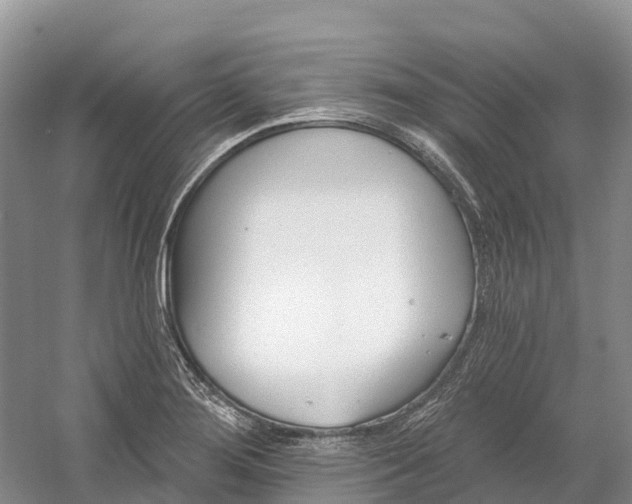 X0000060581276200511171648