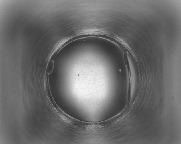 X0000060581277200511171648