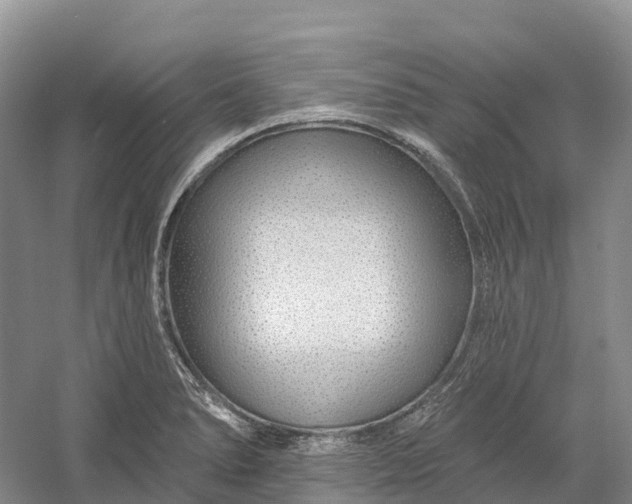 X0000060581278200511171648