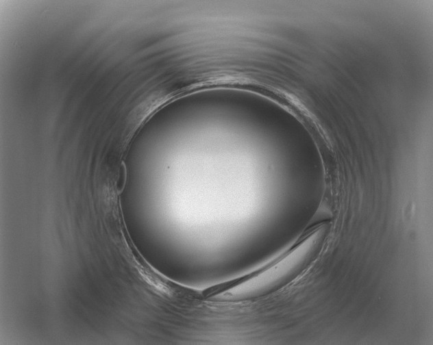 X0000060581281200511171648