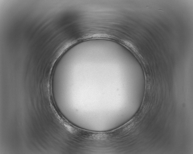 X0000060581282200511171648