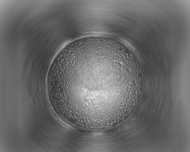 X0000060581283200511171648