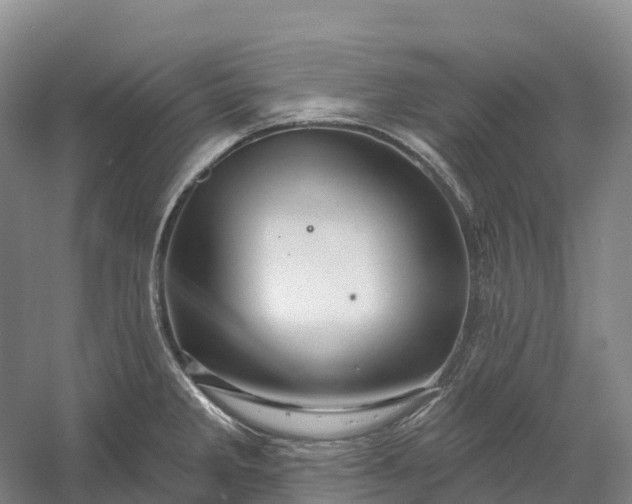 X0000060581285200511171648