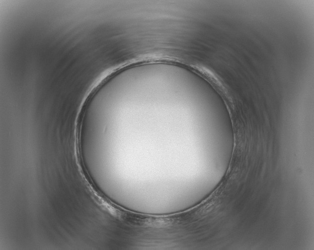 X0000060581286200511171648