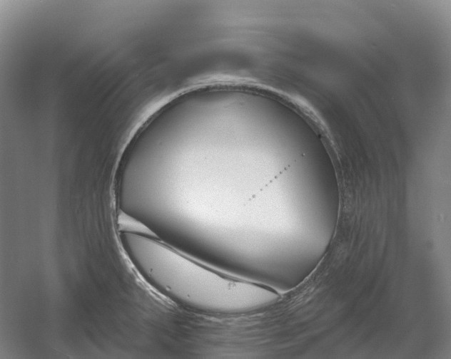 X0000060581287200511171648