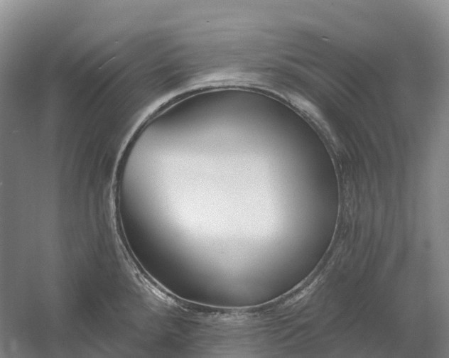 X0000060581288200511171648