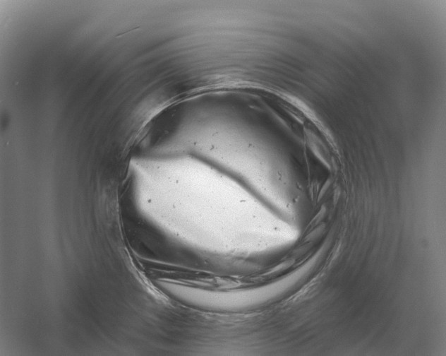 X0000060581289200511171648