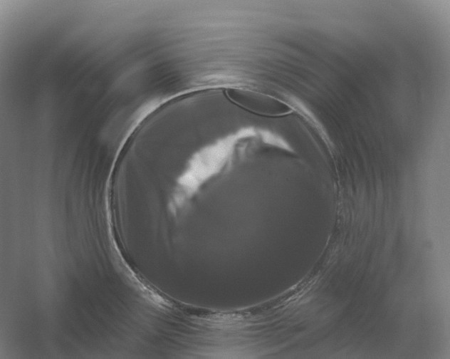 X0000060581291200511171648