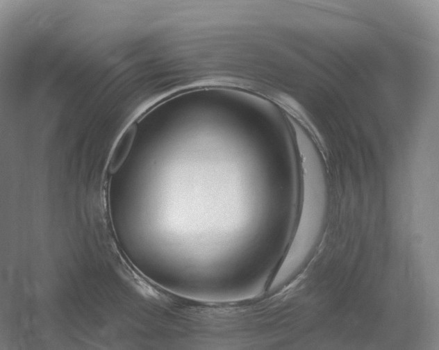 X0000060581292200511171648