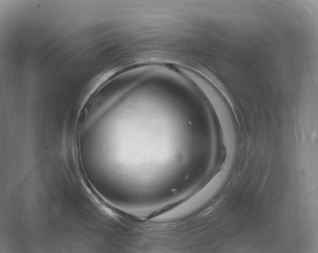 X0000060581293200511171648