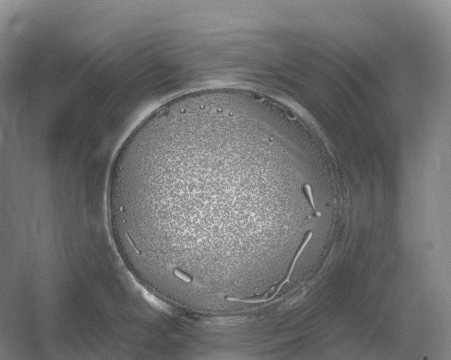 X0000060581294200511171648