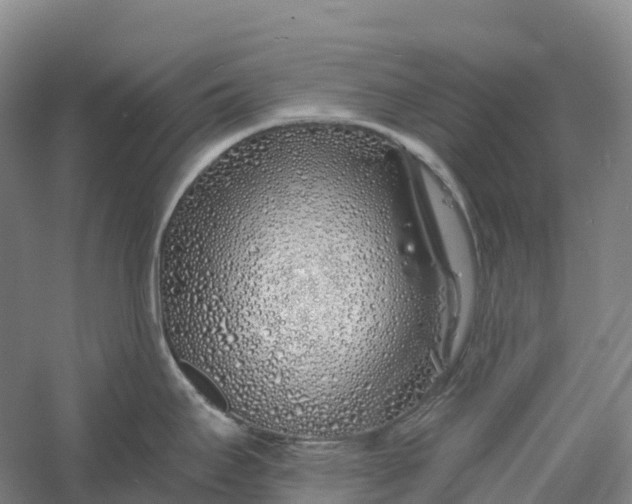 X0000060581295200511171648