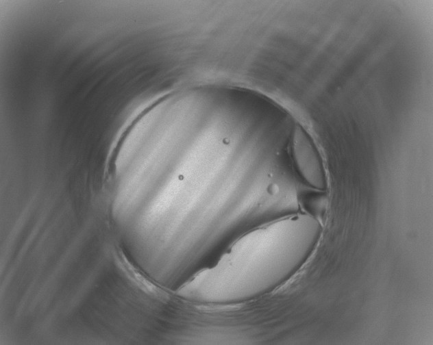 X0000060581296200511171647