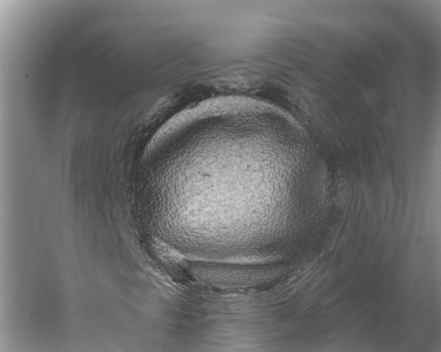 X0000060581297200511171647