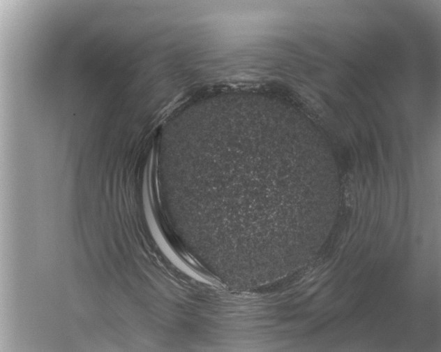 X0000060581298200511171647