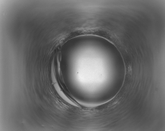 X0000060581300200511171647