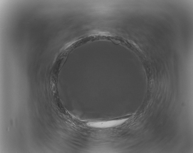 X0000060581303200511171647