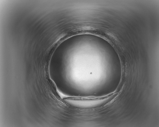 X0000060581305200511171647