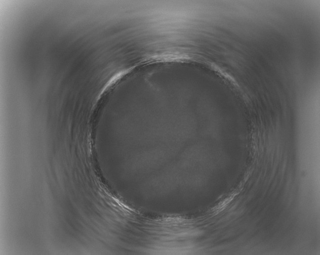 X0000060581306200511171647