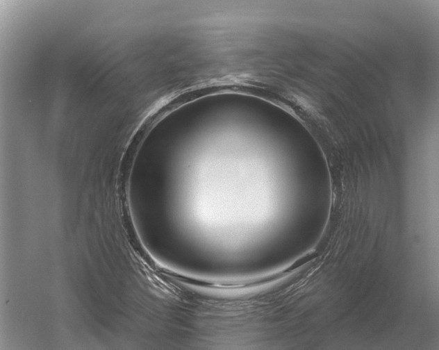 X0000060581308200511171647