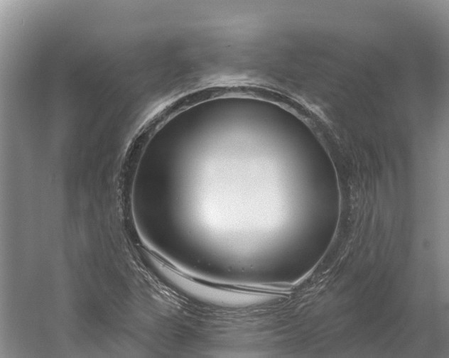 X0000060581311200511171647