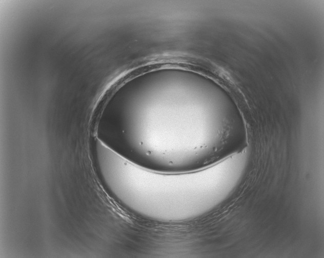 X0000060581312200511171647