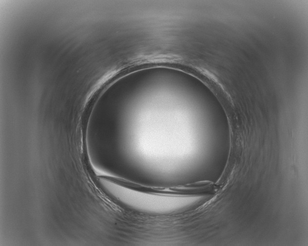 X0000060581317200511171647