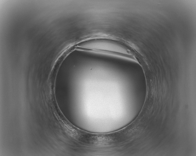 X0000060581318200511171647