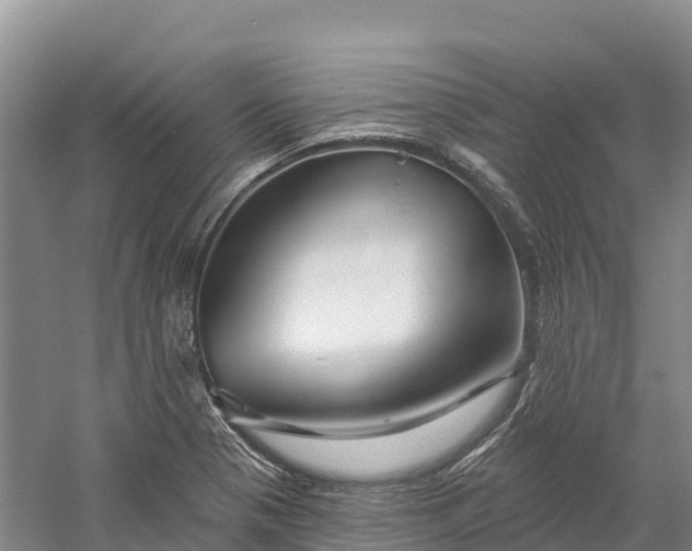 X0000060581321200511171647