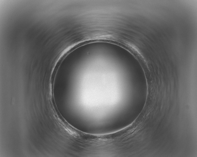 X0000060581324200511171647