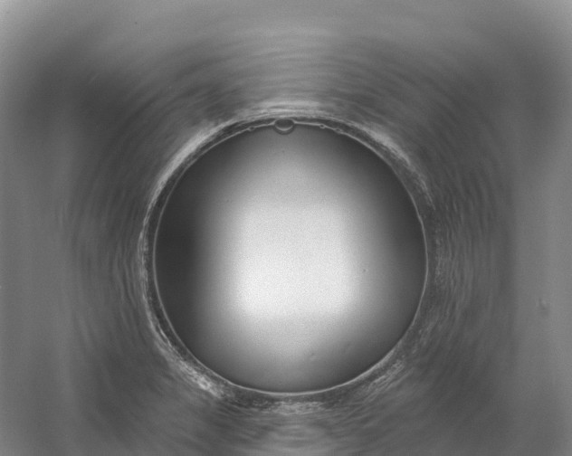 X0000060581325200511171647