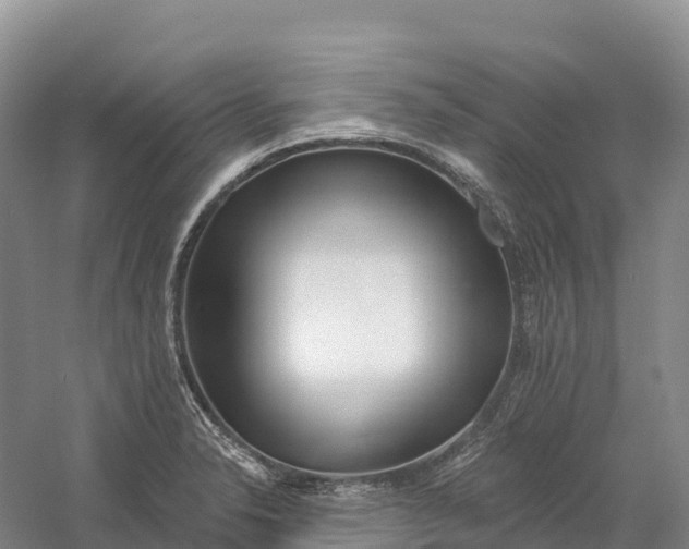 X0000060581326200511171647