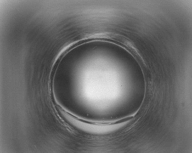 X0000060581328200511171647