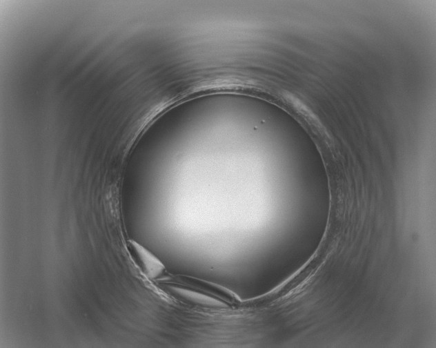 X0000060581329200511171647