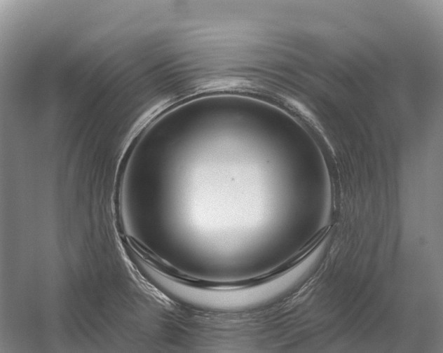 X0000060581330200511171647