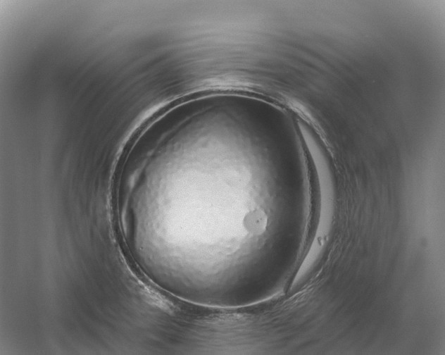 X0000060581331200511171647