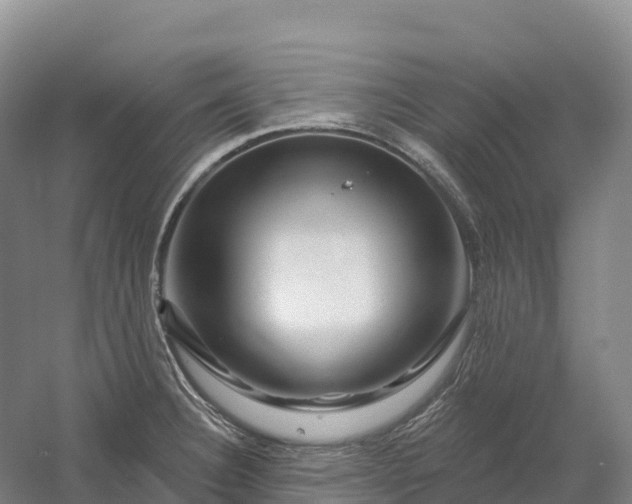 X0000060581332200511171647