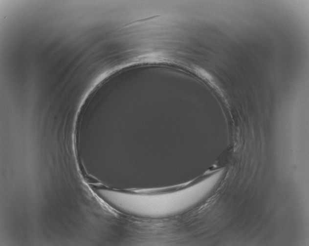 X0000060581334200511171647