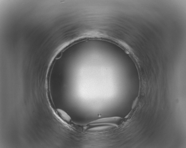 X0000060581335200511171647